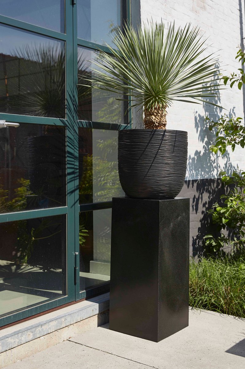 Capi Europe Colonne Smooth NL - 36x79 - Noir