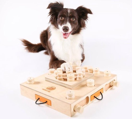 My Intelligent Pet Hondenpuzzel - Turtel