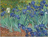 Akoestisch schilderij - EASYphoto  - XL: 196 x 150 cm - 50 mm  -  Vincent van Gogh - Irises - Akoestisch fotopaneel - Akoestisch wandpaneel - Geluidsabsorberend - Esthetisch - EASY