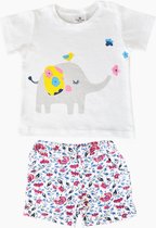 alisé Olifant   baby T-shirt set met shortje Wit