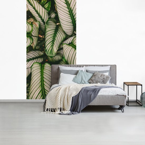 Papier Peint - Papier Papier peint photo Feuilles - Plante - Vert - Largeur 120 cm x Hauteur 240 cm