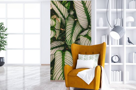 Papier Peint - Papier Papier peint photo Feuilles - Plante - Vert - Largeur 120 cm x Hauteur 240 cm