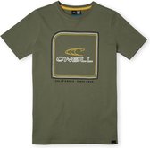 O'Neill T-Shirt ALL YEAR - Deep Lichen Green - 104