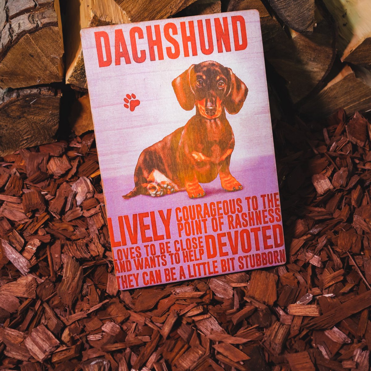 Teckel hond tinnen bord vintage metalen plaquette poster bar pub huis muur decor