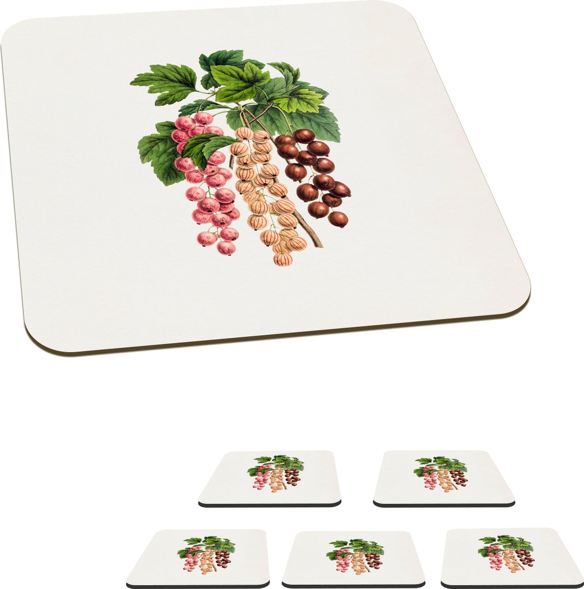 Onderzetters voor glazen - Fruit - Vintage - Bessen - 10x10 cm - Glasonderzetters - 6 stuks