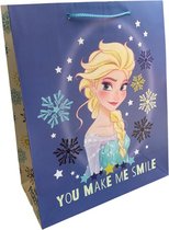 5 Cadeautasjes - Frozen - Disney - 32x26x12cm