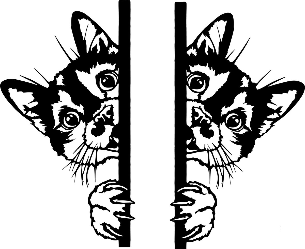 Raam - muur sticker 2 x Gluur Katten - Peeking Cats - Grappig Poezen - Autodeur sticker - Dieren - Poes