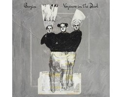 Barzin - Voyeurs In The Dark (CD)