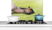 Spatscherm Keuken - Kookplaat Achterwand - Spatwand Fornuis - 70x50 cm - Slapend paard in het gras - Aluminium - Wanddecoratie