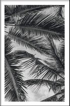 Walljar - Palm Trees Close Up - Zwart wit poster