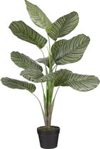 Mica Decorations Calathea Orbifolia Kunstplant - H90 x Ø60 cm - Groen