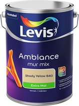 Levis Ambiance Muurverf - Extra Mat - Shady Yellow B40 - 5L