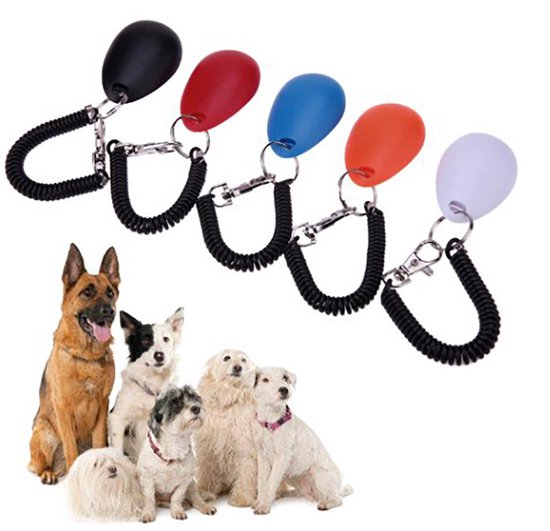 Luxe clicker voor Hondentraining - Training Hond - Zwart - 1 st - Merkloos