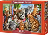 Castorland Legpuzzel House Of Cats - 2000 Stukjes