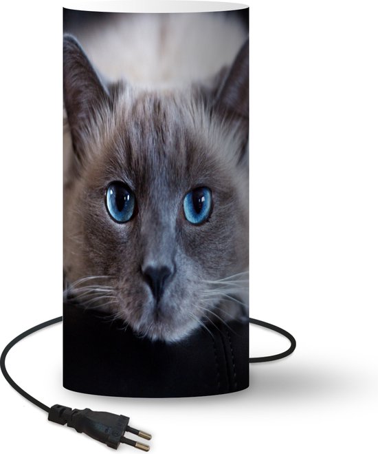 Lampe Close-up Chats - Lampe chat couché avec yeux - hauteur 54 cm