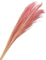 Oneiro’s Luxe Droogbloemen pb. broom grass 100 gr pink 90-100 cm – hotel chique - binnen - accessoires - decoratie – bloemen – mat – glans – industrieel