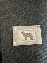 Kit de point de croix Permin Dog Series 14-8383