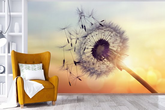 Papier fotobehang pissenlits