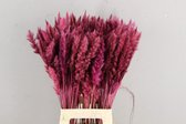 Oneiro’s Luxe Droogbloemen DF Pampas Silvy Bs(10pc) Old Pink 75cm – hotel chique - binnen - accessoires - decoratie – bloemen – mat – glans – industrieel