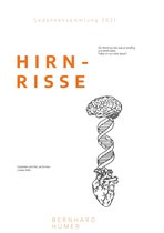 Hirnrisse 1 - Hirnrisse