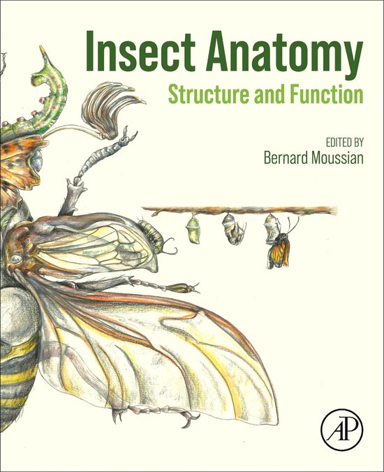 Insect Anatomy