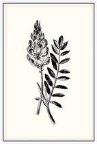 Esparcette zwart-wit (Sainfoin) - Foto op Akoestisch paneel - 150 x 225 cm