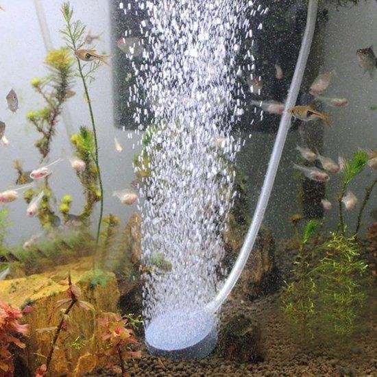 SupplyU Luchtsteen Aquarium - Zuurfstofsteen Aquarium - Aquarium Beluchting - Mineral Steen - Bruissteen - Aquarium filter - Mineral Oxygen Luchtsteen - Geschikt Voor Elk Aquarium - 40mm