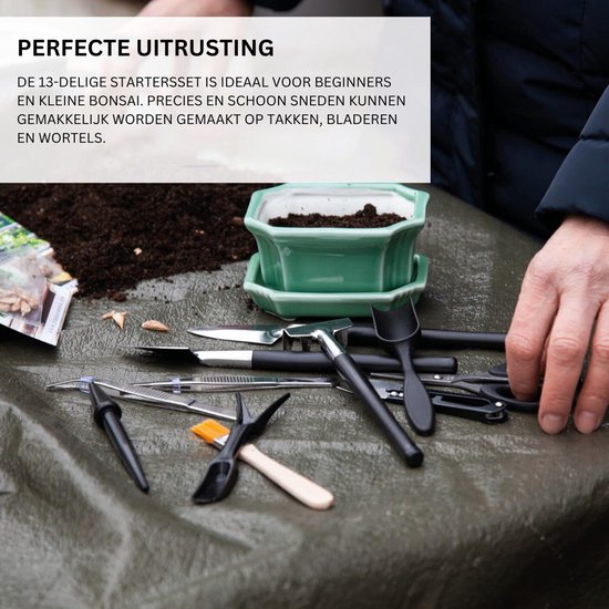 Bonsai Starters Kit - Boompje Inclusief Gereedschap - Schaar - Zaden - Schepjes — afbeelding 5