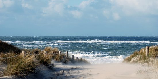 Texelphotos.nl - Foto afdruk als tuinposter – Texel Duinpad - Duinen - Strand - Zee - Zonsondergang - Noordzee – Wanddecoratie - Tuinposter – Natuur - Landschap - 200 x 100 cm.