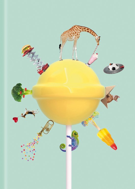 Vormgevoel - Het Grote Kijkboek zonder letters -Prentenboek - Kinderboek - Lezen zonder letters!