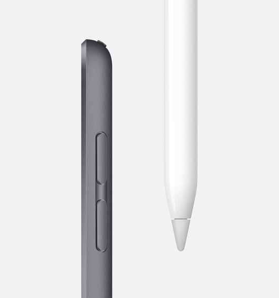 Zijaanzicht van een spacegrijze iPad mini naast een witte Apple Pencil.