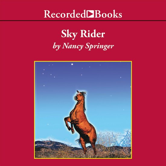 Sky Rider - cover