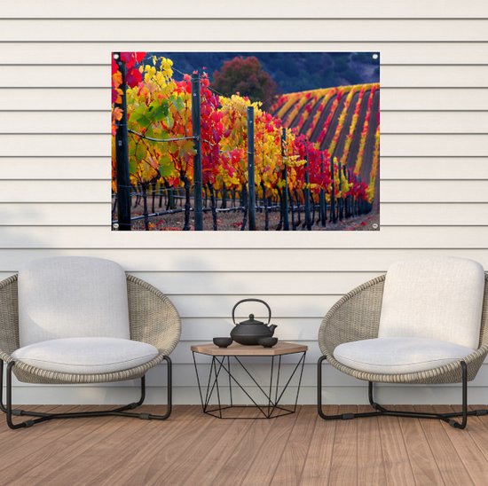 Wijnstokken posters - Natuur tuinposter - Tuinposters Bladeren - Tuinposter - Buitenschilderij schutting - Tuin decoratie tuinposter 105x70 cm