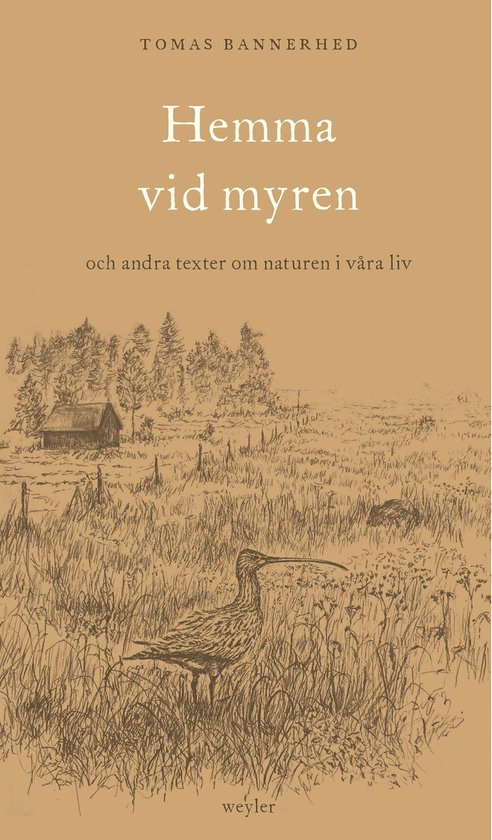 Hemma vid myren : och andra texter om naturen i våra liv - cover