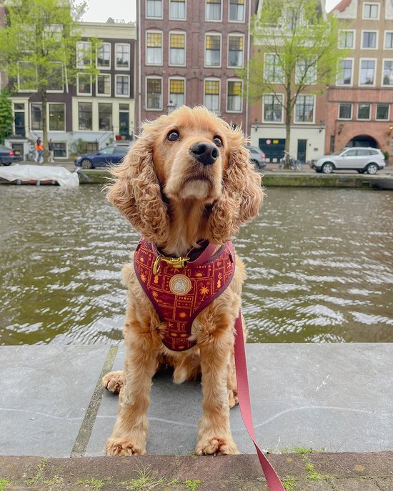 The Dog Farm Dog Harness - Dog Harness - Y Dog Harness - Bordeaux Goud - Taille L - Harnais pour Chiens avec impression