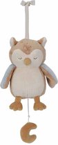 Bol.com Little Dutch Muziekdoos Uil - Forest Friends aanbieding