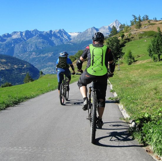 Ortlieb Fietsrugzak Velocity PS Rooibos 17L | Waterdichte rugtas