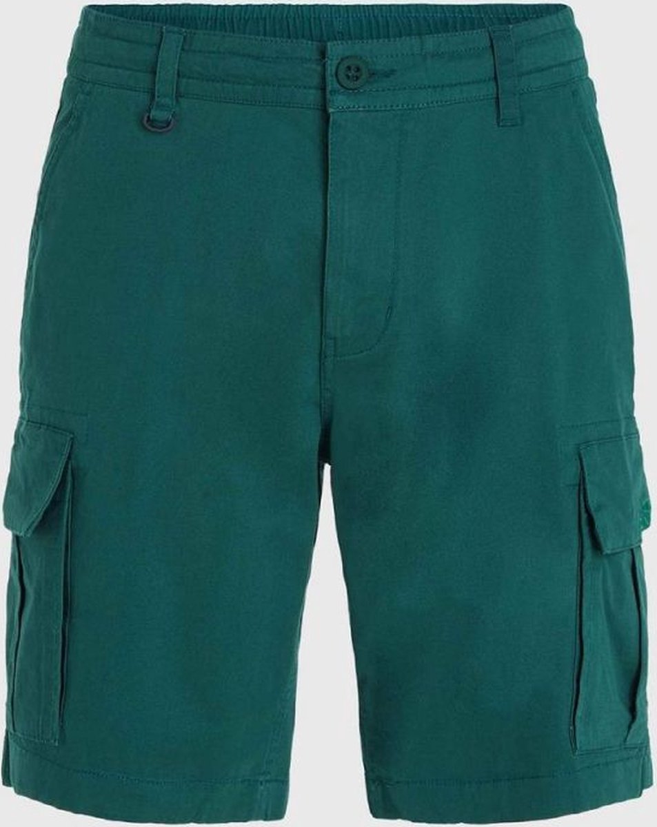 O’neill Shorts ESSENTIALS CARGO SHORTS Beetle Juice