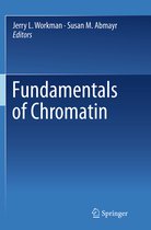 Fundamentals of Chromatin