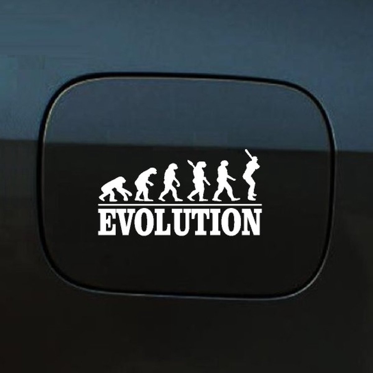 Bumpersticker - Evolution Honkbal - 20x9.3 - Wit