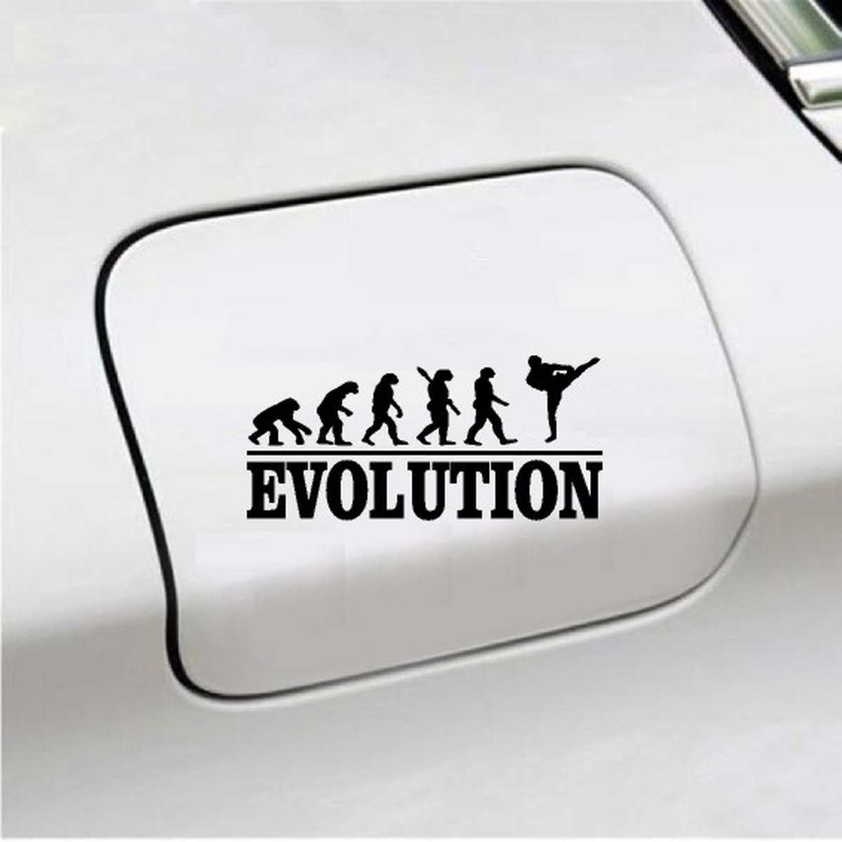 Bumpersticker - Evolution Vechtsport- 20x9.3 - Zwart