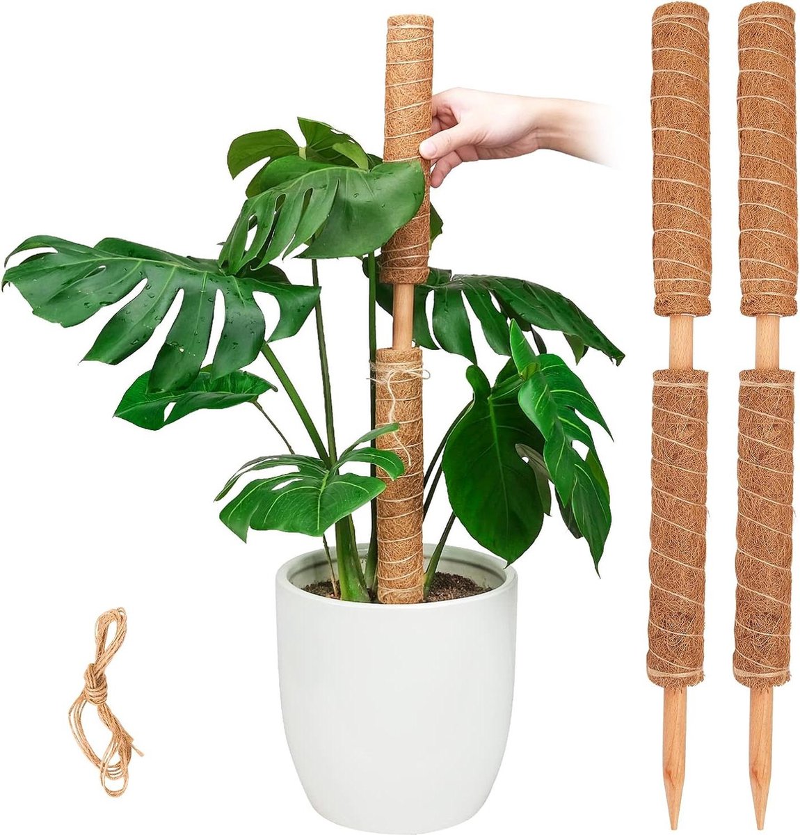 Uitschuifbare plantenstokken 157 inch voor Monstera en klimplanten 4 stuks