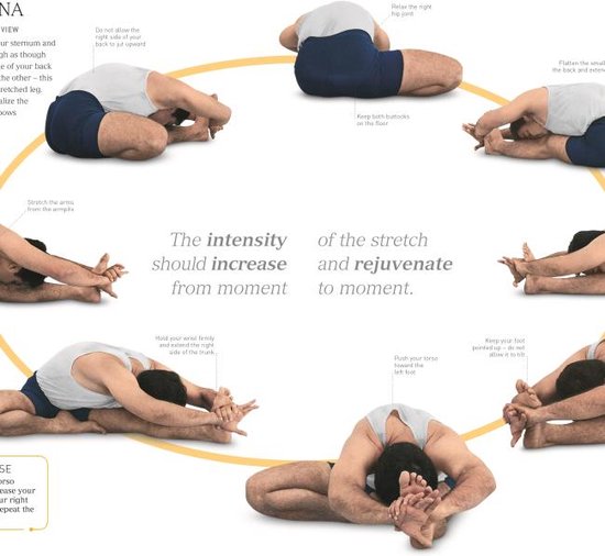 B.K.S. IYENGAR YOGA THE PATH TO … B.K.S. Iyengar Yoga The Path to Holistic Health – DK