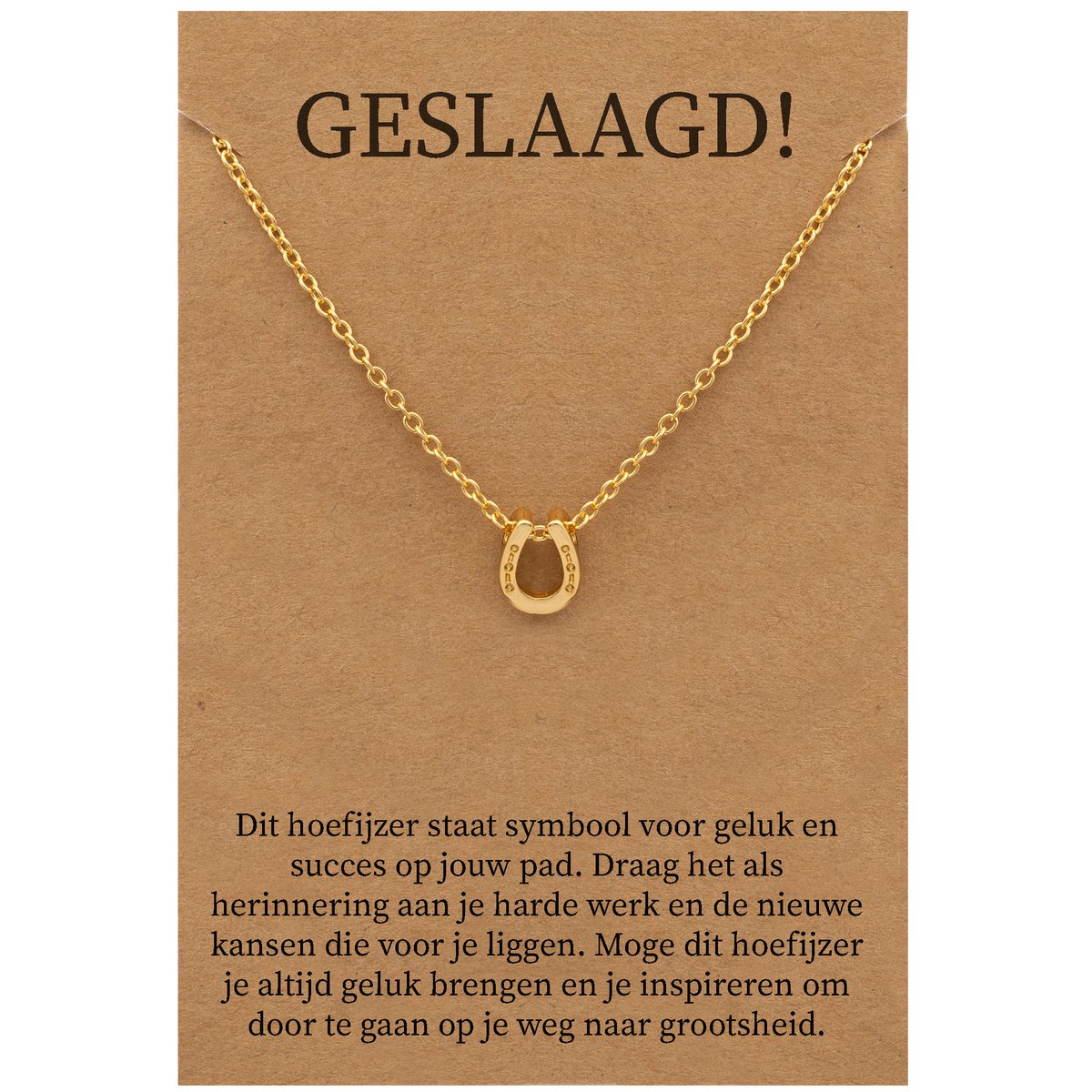 Geslaagd Cadeau Ketting - Hoefijzer voor Geluk Sieraad - Goudkleurig - Gefeliciteerd - Pax Amare