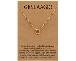 Geslaagd Cadeau Ketting - Hoefijzer voor Geluk Sieraad - Goudkleurig - Gefeliciteerd - Pax Amare