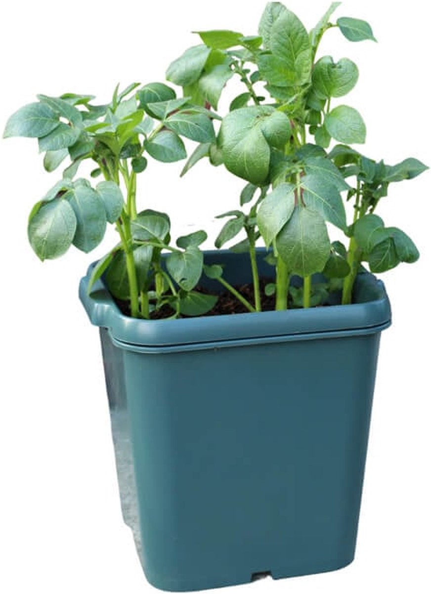 Agralan Aardappel kweekbak Buiten en binnenpot 15 liter