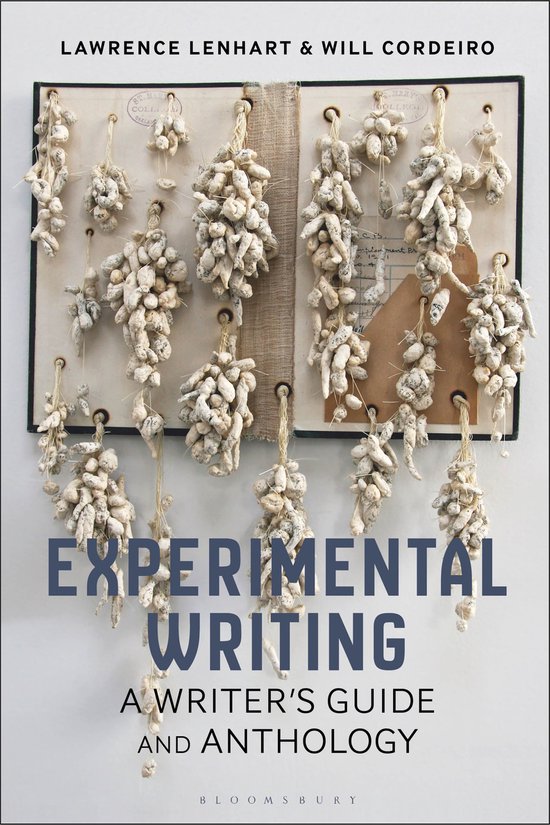 Bloomsbury Writer's Guides and Anthologies- Experimental Writing