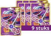 Glorix Aromalux WC blokjes - Wild Berries & Hibiscus Oil - 9 Stuks - Voordeelverpakking