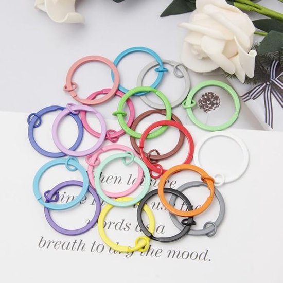 Sleutelhangers - Set van 40 (30 mm) - Metalen Split Ringen in 20 Kleuren - Perfect voor Sleutels - DIY & Decoratie