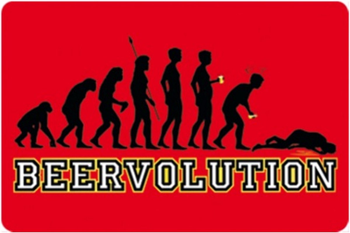 metalen wandbord beervolution 20x30 cm